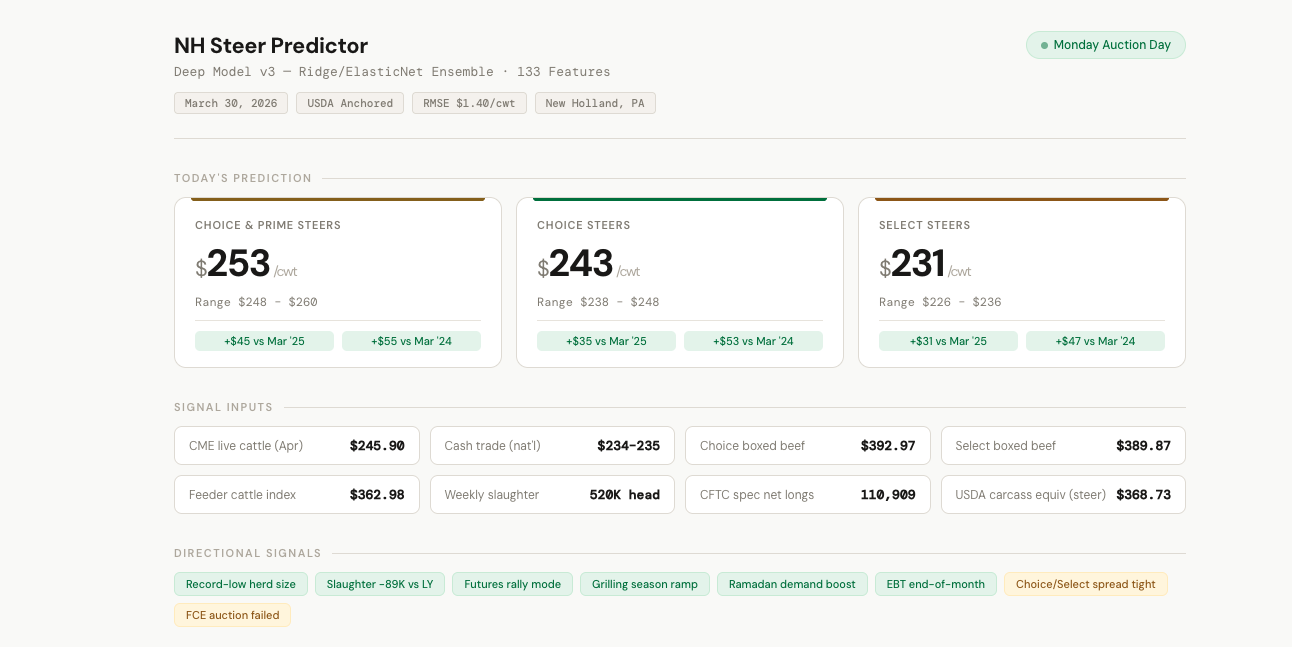 NH Steer Predictor — auction prediction engine
